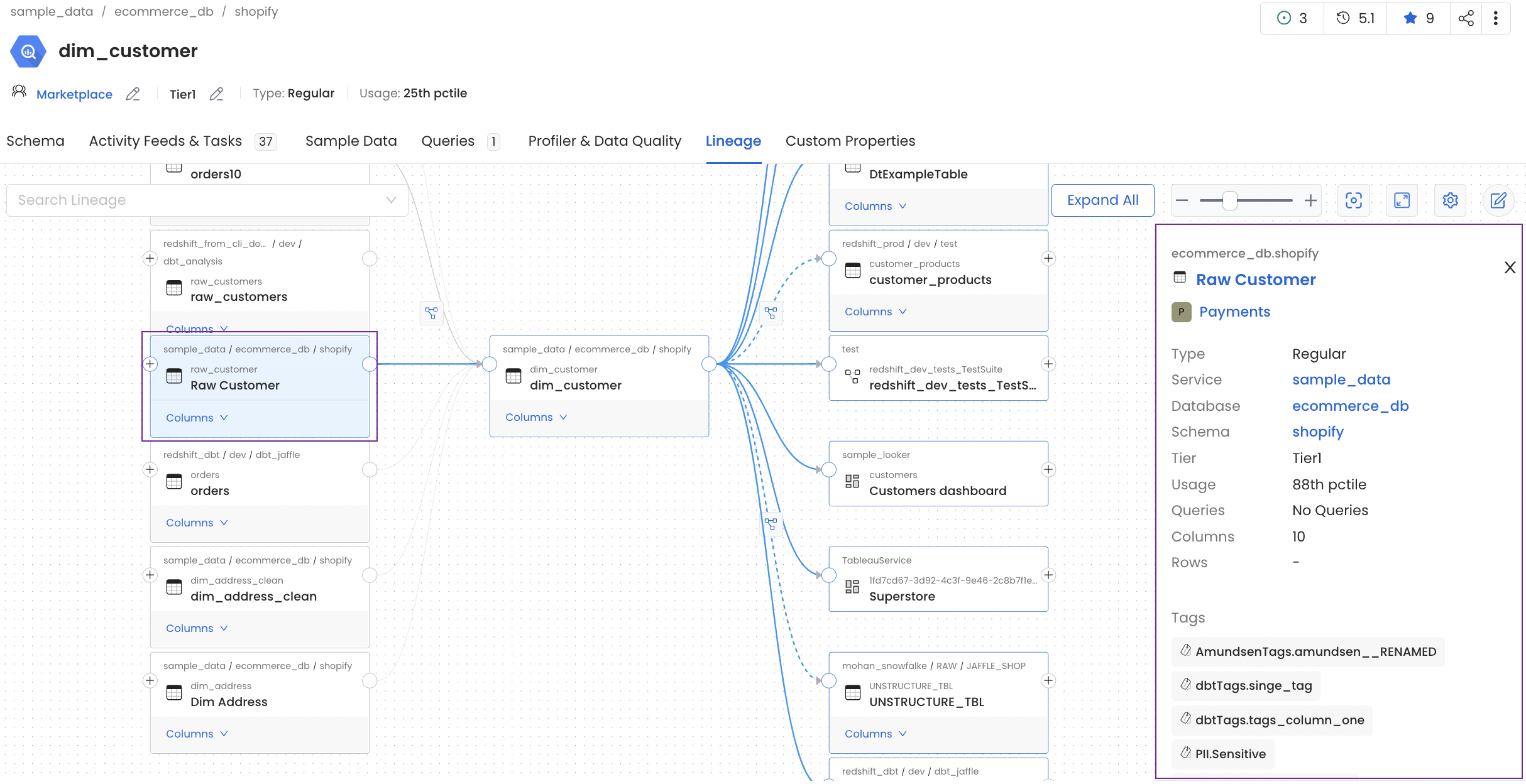 Data Asset Preview in Lineage Tab