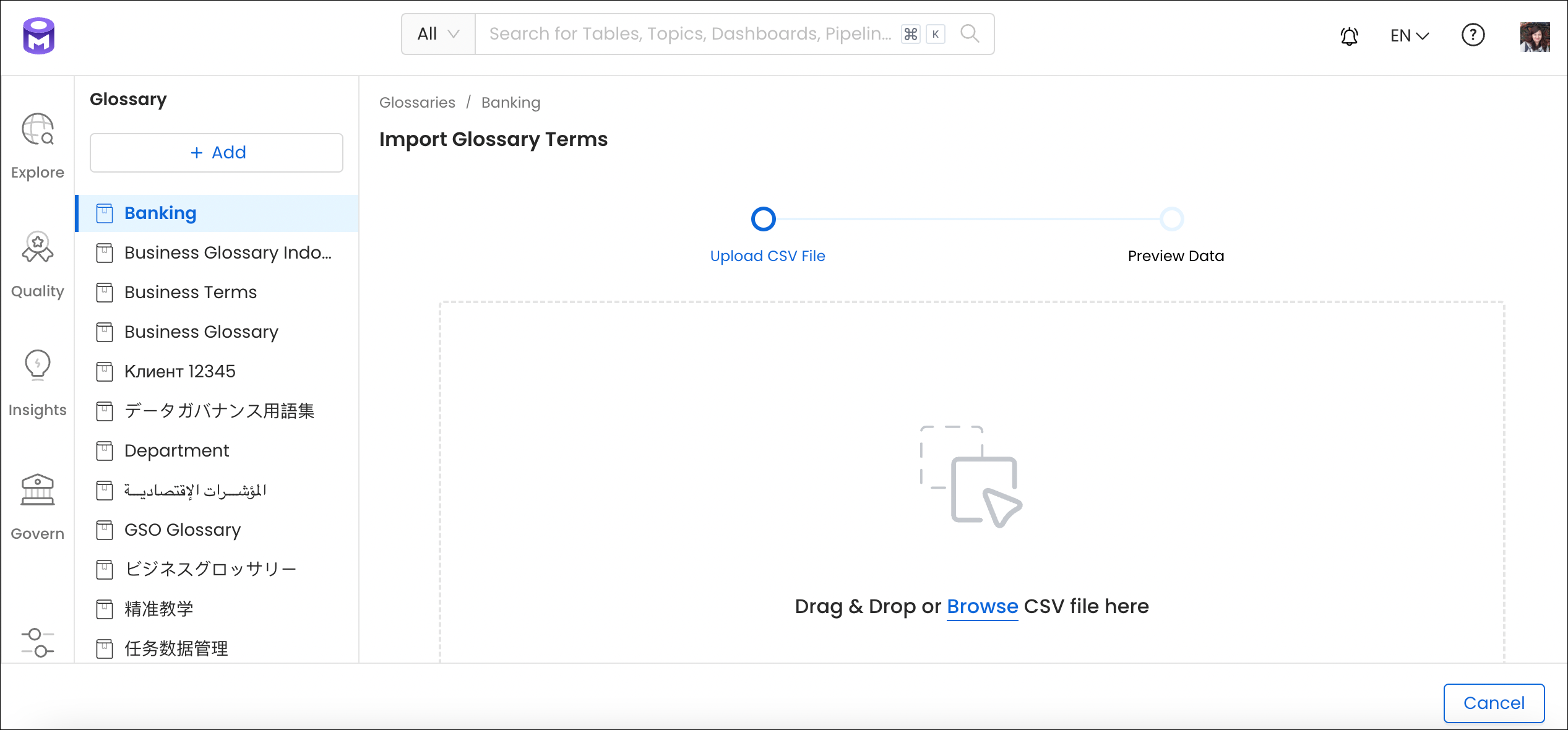 Import the Glossary CSV File