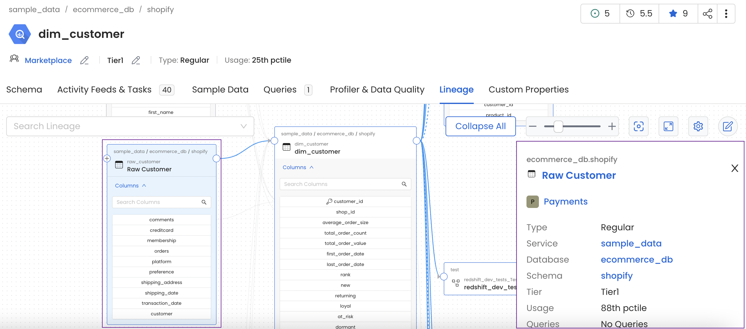 Quick Glance at the Data Asset from Lineage View